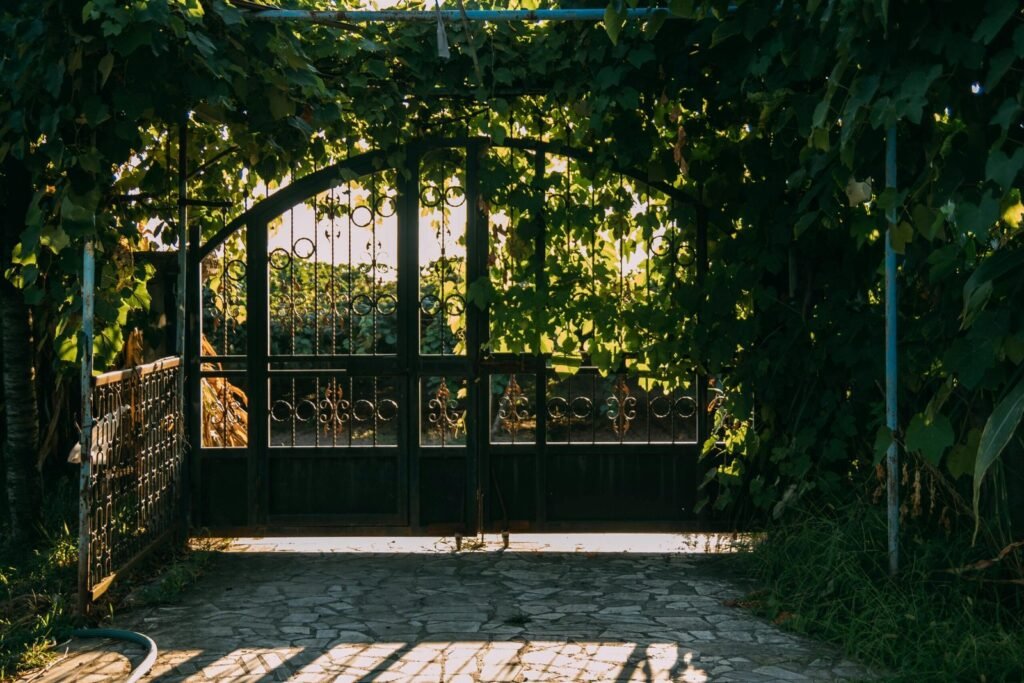 A sunlit garden gate surrounded by lush greenery, creating a serene and inviting entrance.