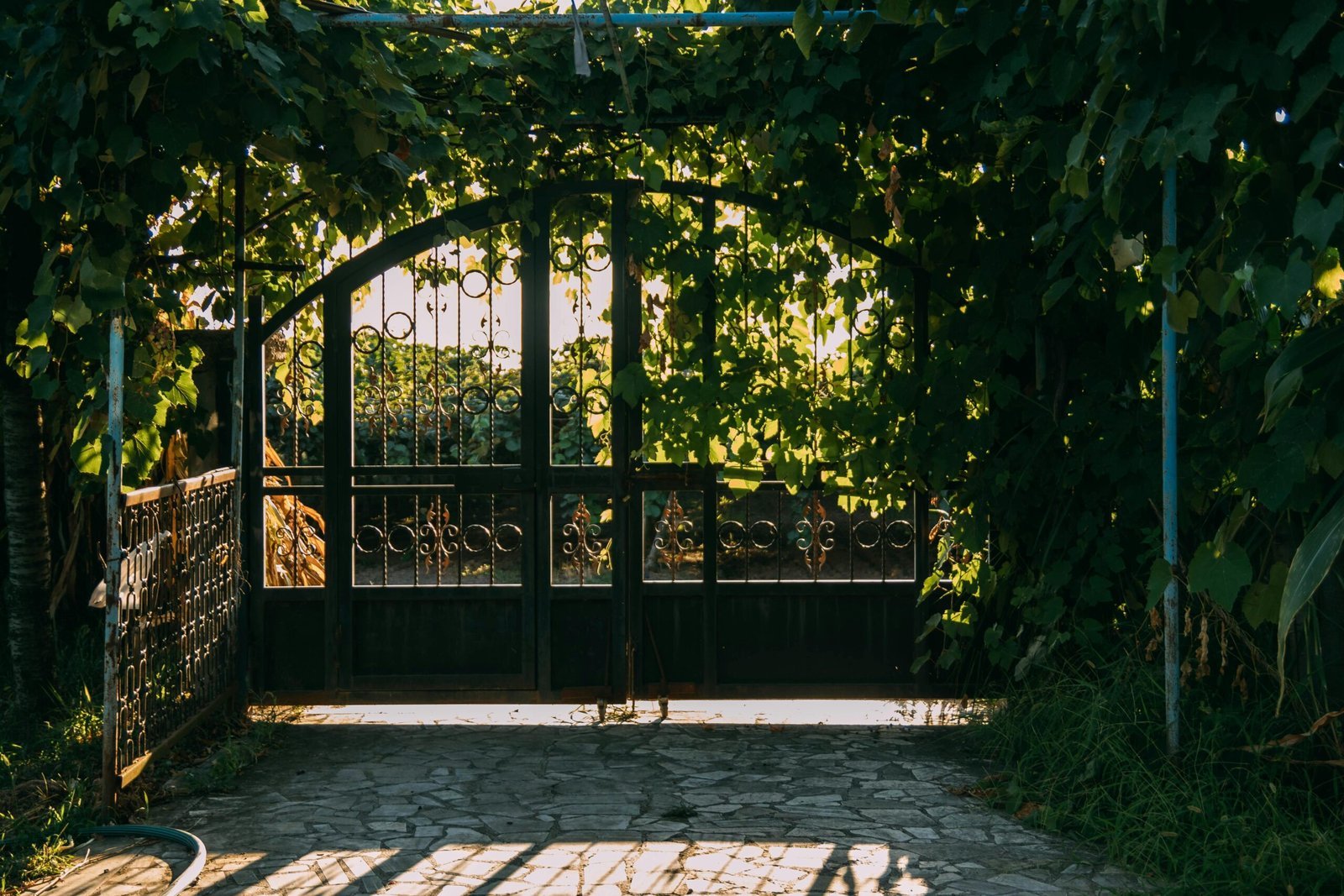 A sunlit garden gate surrounded by lush greenery, creating a serene and inviting entrance.